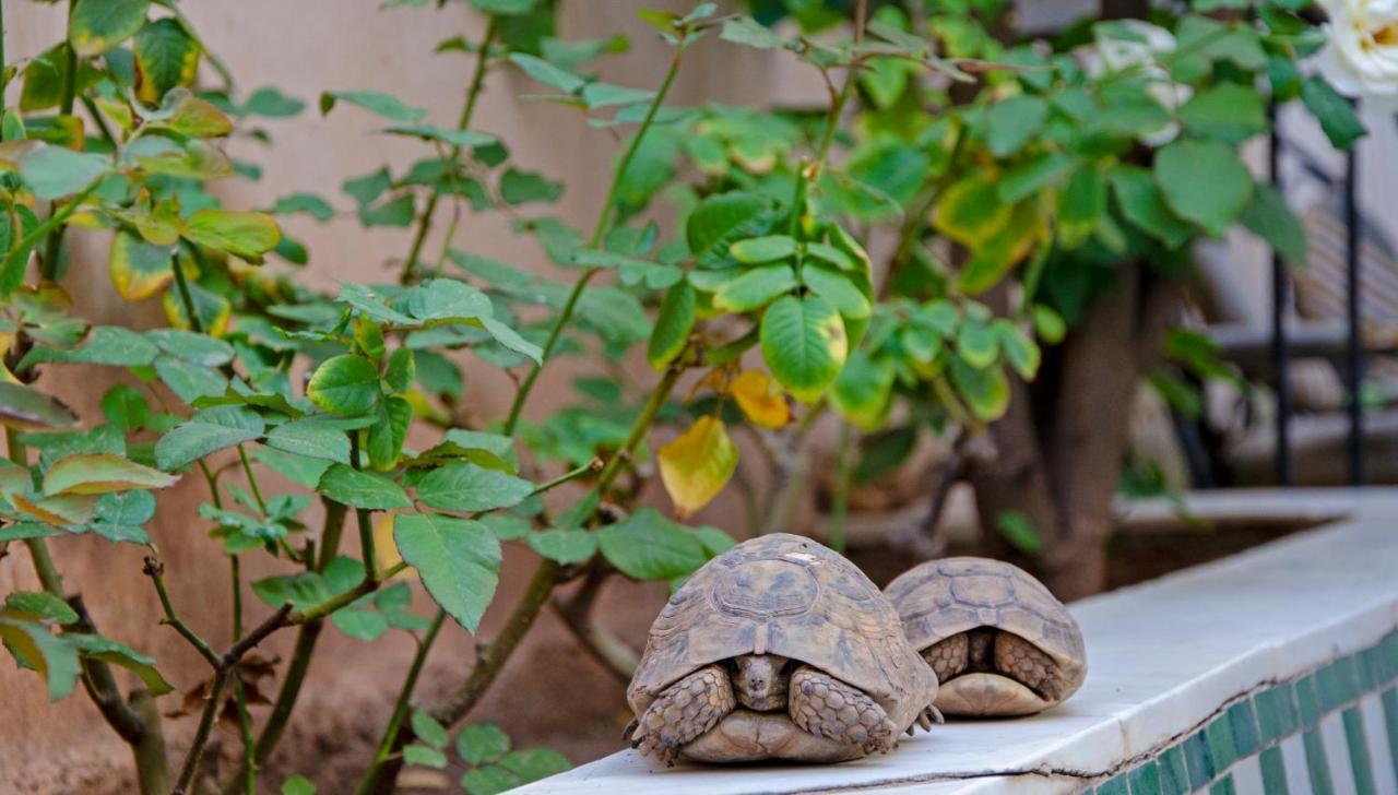 Hotel Riad Esmeralda Marrakesz Zewnętrze zdjęcie